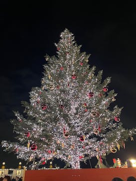 Christmas Market in 横浜赤レンガ倉庫 2025に投稿された画像（2025/11/23）