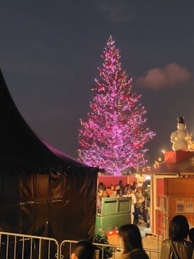 Christmas Market in 横浜赤レンガ倉庫 2025に投稿された画像（2025/11/23）