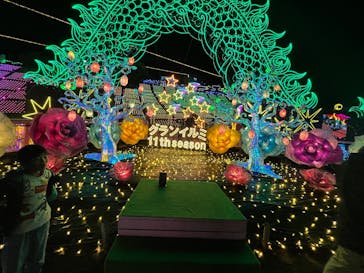 伊豆高原グランイルミに投稿された画像（2025/11/23）