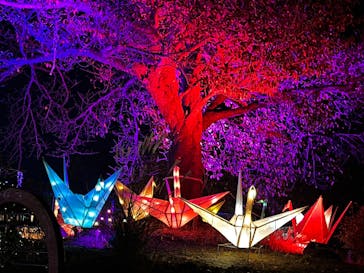 伊豆高原グランイルミに投稿された画像（2025/11/23）