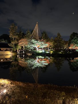 国営昭和記念公園 秋の夜散歩に投稿された画像（2025/11/23）