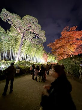 国営昭和記念公園 秋の夜散歩に投稿された画像（2025/11/23）