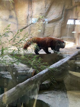 那須どうぶつ王国に投稿された画像（2025/11/23）