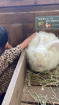 那須どうぶつ王国に投稿された画像（2025/11/23）