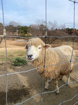 那須どうぶつ王国に投稿された画像（2025/11/23）