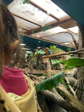 那須どうぶつ王国に投稿された画像（2025/11/23）