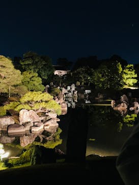 NAKED meets 二条城 2025 観月に投稿された画像（2025/11/23）