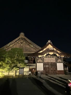 NAKED meets 二条城 2025 観月に投稿された画像（2025/11/23）