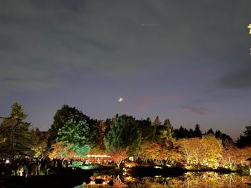 国営昭和記念公園 秋の夜散歩に投稿された画像（2025/11/23）