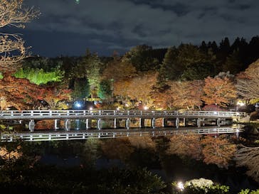 国営昭和記念公園 秋の夜散歩に投稿された画像（2025/11/23）