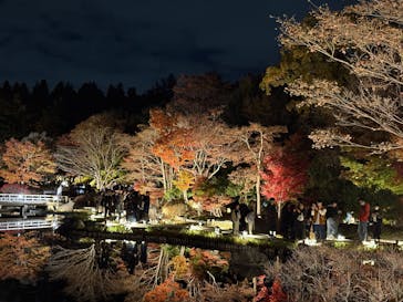 国営昭和記念公園 秋の夜散歩に投稿された画像（2025/11/23）