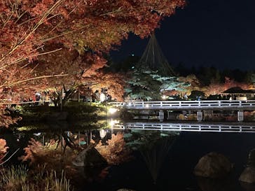 国営昭和記念公園 秋の夜散歩に投稿された画像（2025/11/23）