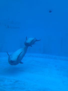 名古屋港水族館に投稿された画像（2025/11/23）