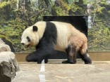 恩賜上野動物園に投稿された画像（2025/11/24）