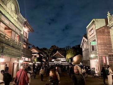 江戸東京たてもの園に投稿された画像（2025/11/23）