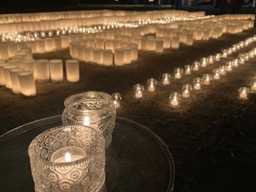 江戸東京たてもの園に投稿された画像（2025/11/23）