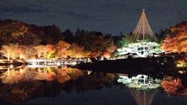 国営昭和記念公園 秋の夜散歩に投稿された画像（2025/11/23）