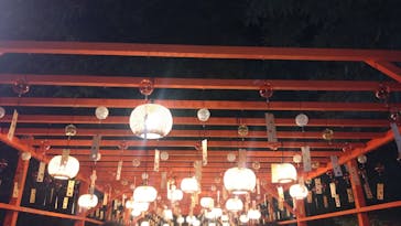 国営昭和記念公園 秋の夜散歩に投稿された画像（2025/11/23）