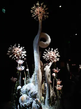 金曜ロードショーとジブリ展（静岡展）に投稿された画像（2025/11/23）