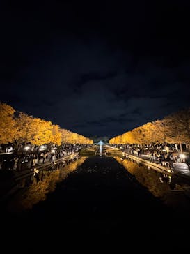 国営昭和記念公園 秋の夜散歩に投稿された画像（2025/11/23）