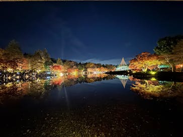 国営昭和記念公園 秋の夜散歩に投稿された画像（2025/11/23）