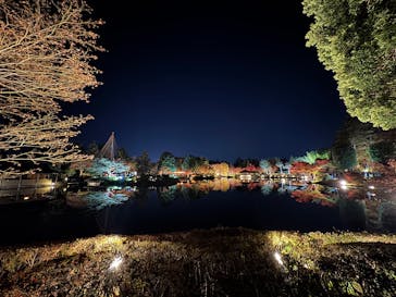 国営昭和記念公園 秋の夜散歩に投稿された画像（2025/11/23）