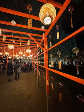 国営昭和記念公園 秋の夜散歩に投稿された画像（2025/11/23）