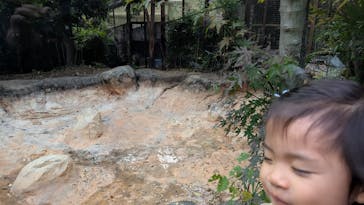 恩賜上野動物園に投稿された画像（2025/11/23）