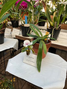 新宿御苑に投稿された画像（2025/11/23）