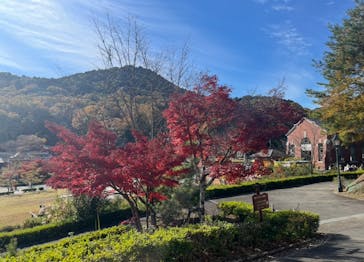 博物館 明治村に投稿された画像（2025/11/23）