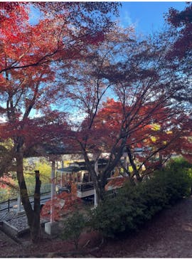 博物館 明治村に投稿された画像（2025/11/23）