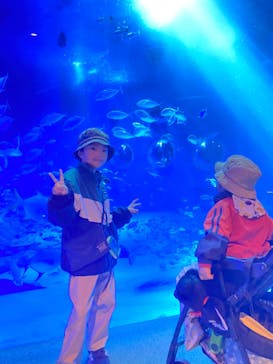 のとじま水族館に投稿された画像（2025/11/23）