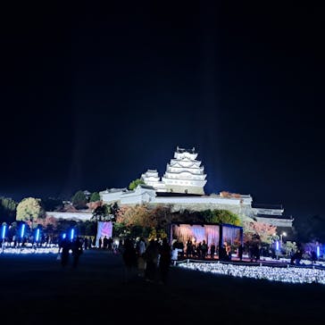 Himeji Castle of Light『DANDELION PROJECT 姫路城×NAKED, INC.』に投稿された画像（2025/11/23）