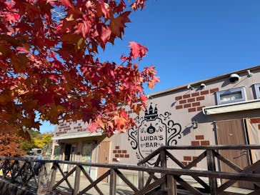 ニジゲンノモリに投稿された画像（2025/11/23）