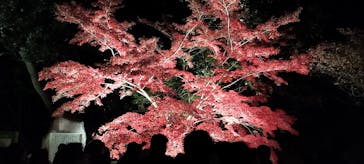 名古屋市東山動植物園に投稿された画像（2025/11/23）