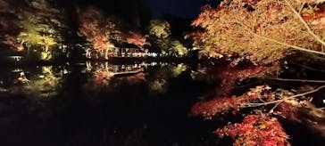 名古屋市東山動植物園に投稿された画像（2025/11/23）