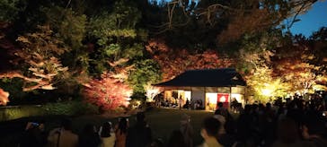 名古屋市東山動植物園に投稿された画像（2025/11/23）