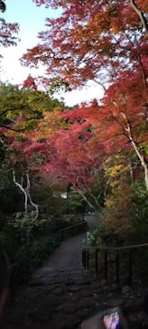 名古屋市東山動植物園に投稿された画像（2025/11/23）