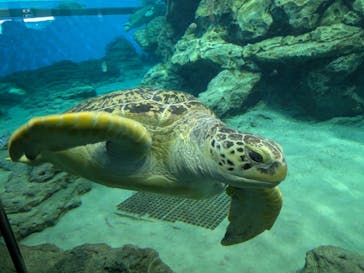 名古屋港水族館に投稿された画像（2025/11/23）