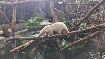 那須どうぶつ王国に投稿された画像（2025/11/23）