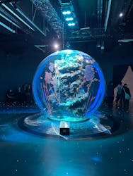 AQUARIUM × ART　atoaに投稿された画像（2025/11/23）