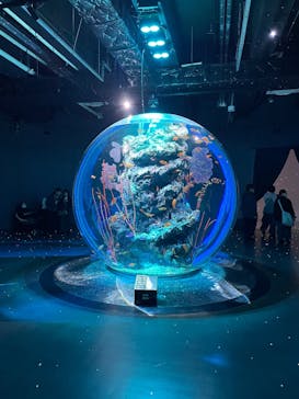 AQUARIUM × ART　atoaに投稿された画像（2025/11/23）