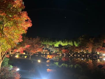 国営昭和記念公園 秋の夜散歩に投稿された画像（2025/11/23）