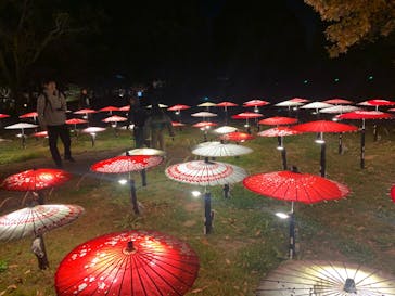 国営昭和記念公園 秋の夜散歩に投稿された画像（2025/11/23）