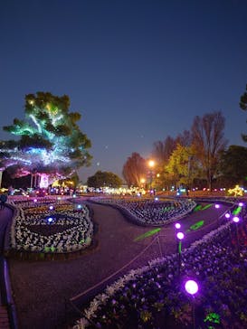 安城産業文化公園デンパークに投稿された画像（2025/11/23）