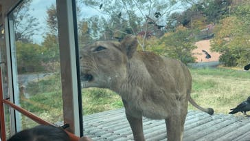 東京動物園協会_多摩動物公園に投稿された画像（2025/11/23）