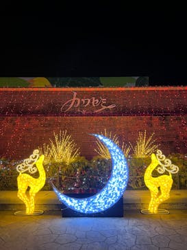 東武動物公園に投稿された画像（2025/11/23）