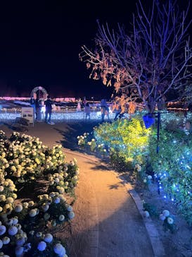 東武動物公園に投稿された画像（2025/11/23）