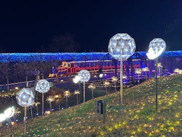 EnglishGardenローザンベリー多和田に投稿された画像（2025/11/24）