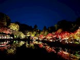 名古屋市東山動植物園に投稿された画像（2025/11/24）